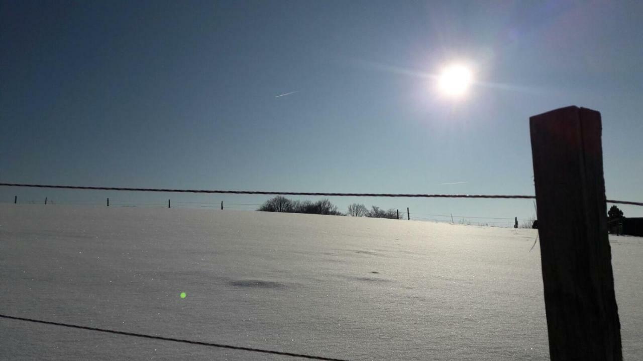 Ferienhaus " Silly " Am Schoenen Listersee Meinerzhagen Exteriör bild